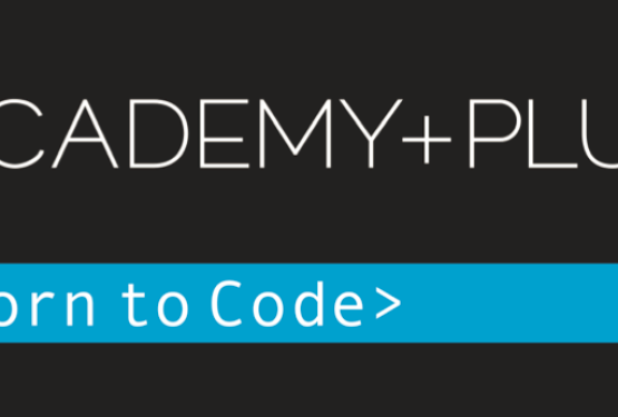 Etapele școlii gratuite de IT Academy+Plus