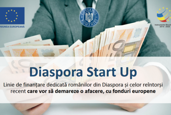 Diaspora Start Up va finanța 32 de tipuri de proiecte ale cetățenilor români