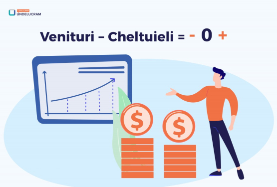 Venituri – Cheltuieli = - 0 +