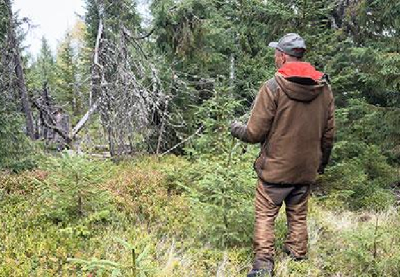 Rezultatele a 8 ani de parteneriat Plantăm fapte bune în România și JYSK: 178.000 de copaci plantați și 50 de hectare împădurite