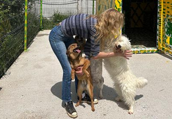 JYSK se alătură eforturilor pentru protecția animalelor