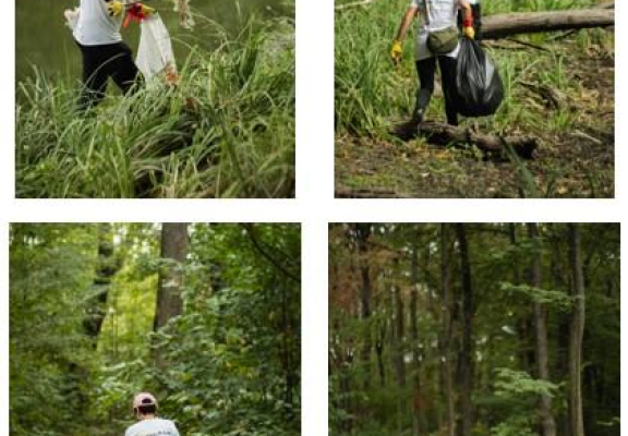 Servier România in actiune pentru mediu: Ecologizare in padurea Cernica