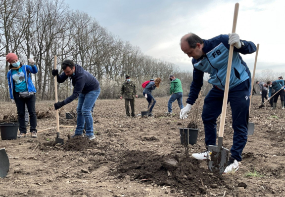 Actiuni de voluntariat