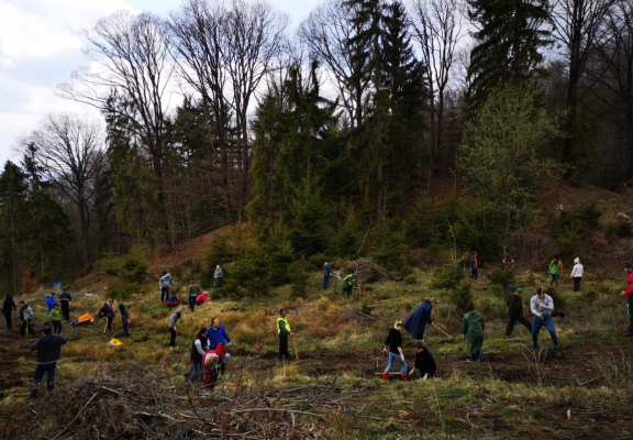 Actiuni de voluntariat