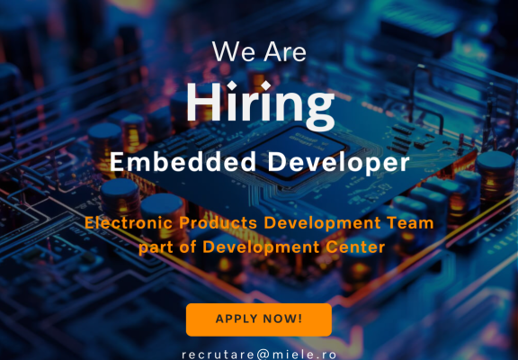 Job_Embedded Developer