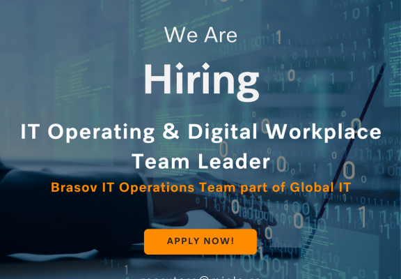 Job_IT Operating & Digital Workplace Team Leader