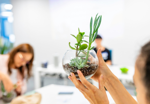 𝗢𝗥𝗔𝗖𝗢𝗟™ - Nature in a Jar: Terrarium Crafting