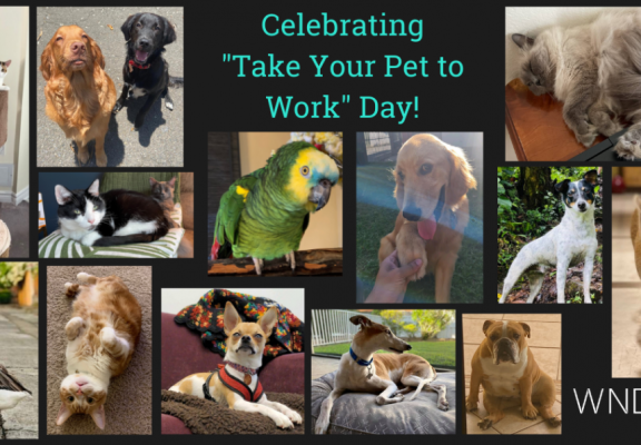 Celebrating Take your Pet to Work Day!