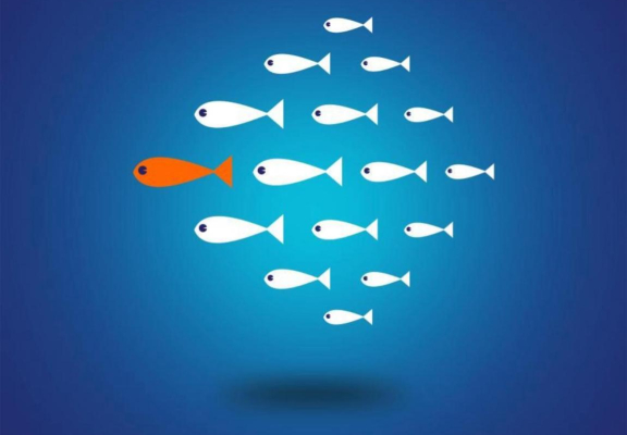 Leadership matur & meritocrație modernă — lecția lui Socrate pentru companiile de azi