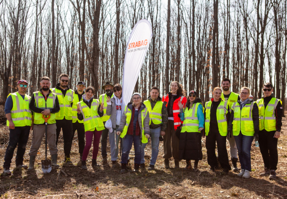 Voluntariat plantare copaci, Ilfov 2026