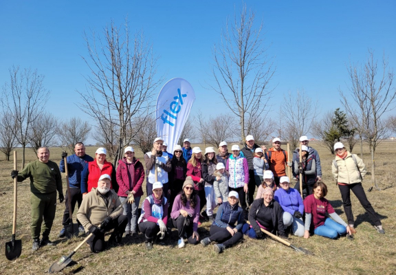 Voluntarii Flex la "Pădurea mea", o acțiune de plantare în perdeaua forestieră de protecție a Timișoarei, organizată de EcoStuff Romania și Primăria Timișoara