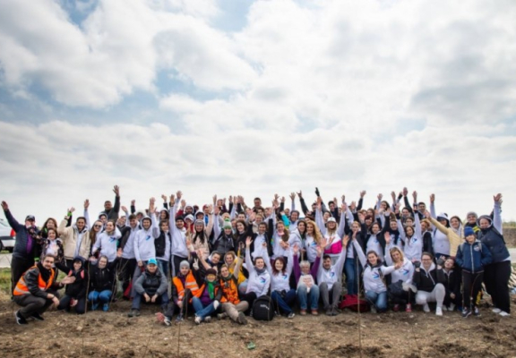 Accenture | Tree planting 