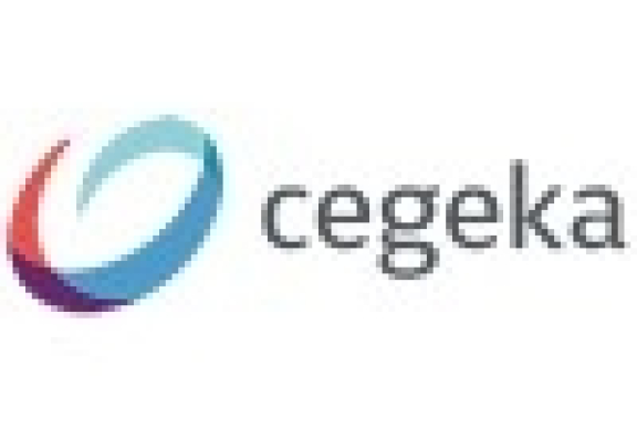 Ovidiu Pinghioiu – About Cegeka Academy 2023 for Ziarul Financiar