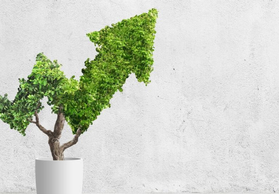 BRD Asigurări de Viață susține practicile responsabile de business