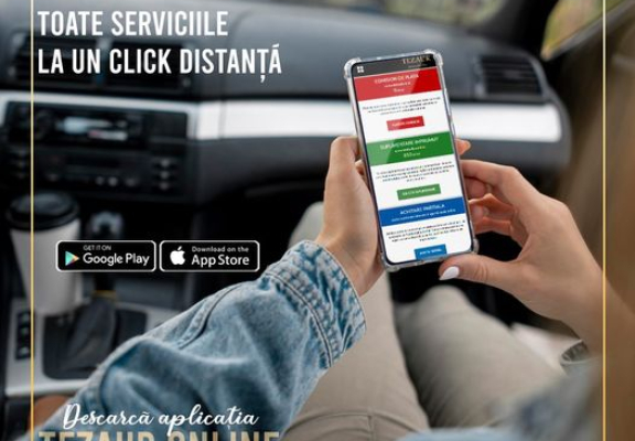 Aplicatia NOUA TEZAUR ONLINE