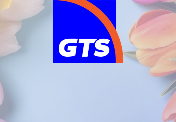 Love my job @ GTS: cum arată joburile din interior. Elena Front Office Engineer, NOC