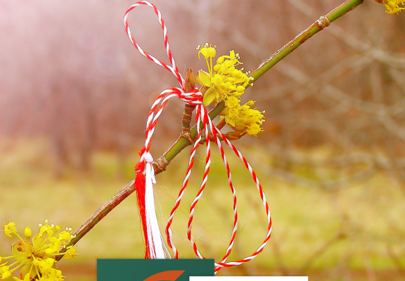 💮 O Primăvară frumoasă 💮