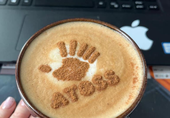 Coffee&Java perfect combo