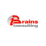 Brains Consulting