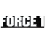 Force 1 - Divizia de securitate