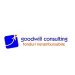 Goodwill Consulting