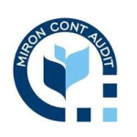 Miron Cont Audit