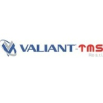 Valiant-TMS RO