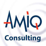 AMIQ Consulting