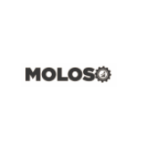 Moloso Marketing Agency