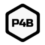 P4B IT Services