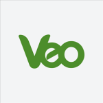 Veo Worldwide Services