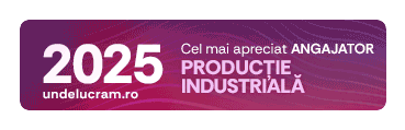 Top Productie industriala 2025