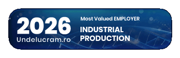 Top Productie industriala 2026