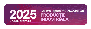 Top Productie industriala 2025