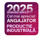 Top Productie industriala 2025
