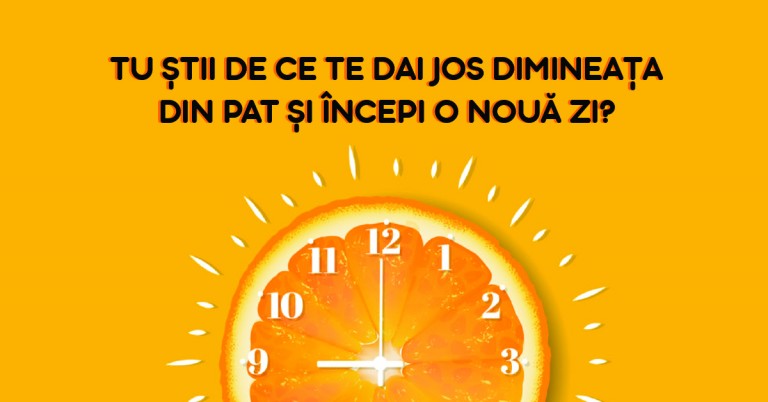 Tu știi de ce te dai jos dimineața din pat și începi o nouă zi?