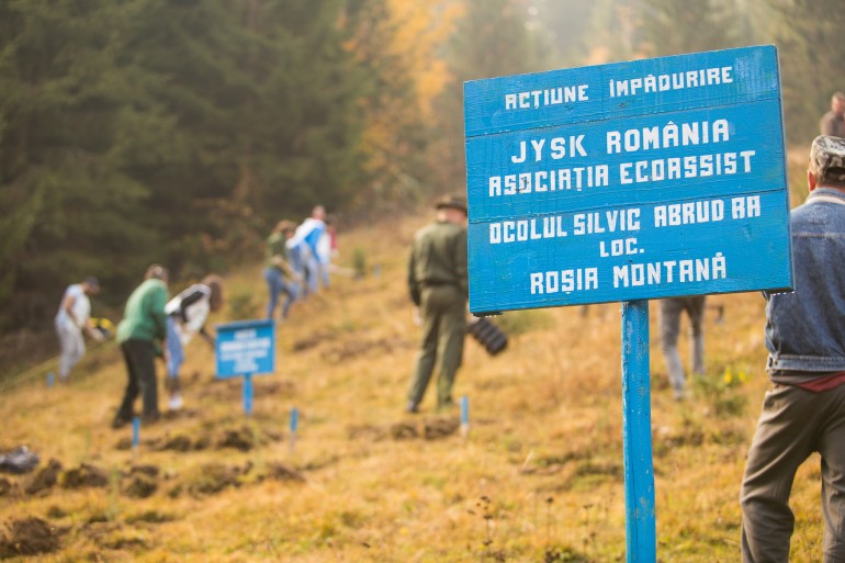 Padurea JYSK JYSK Romania