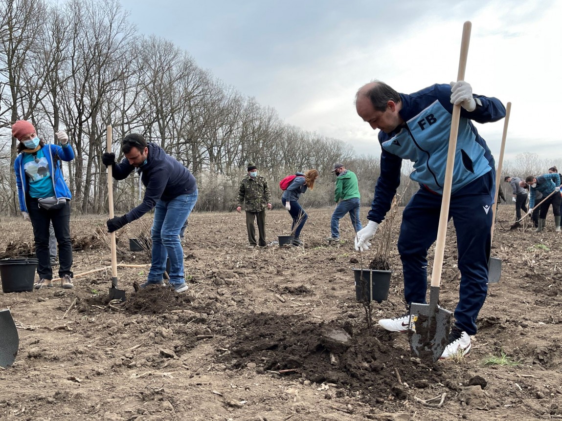 Actiuni de voluntariat Provident Financial Romania