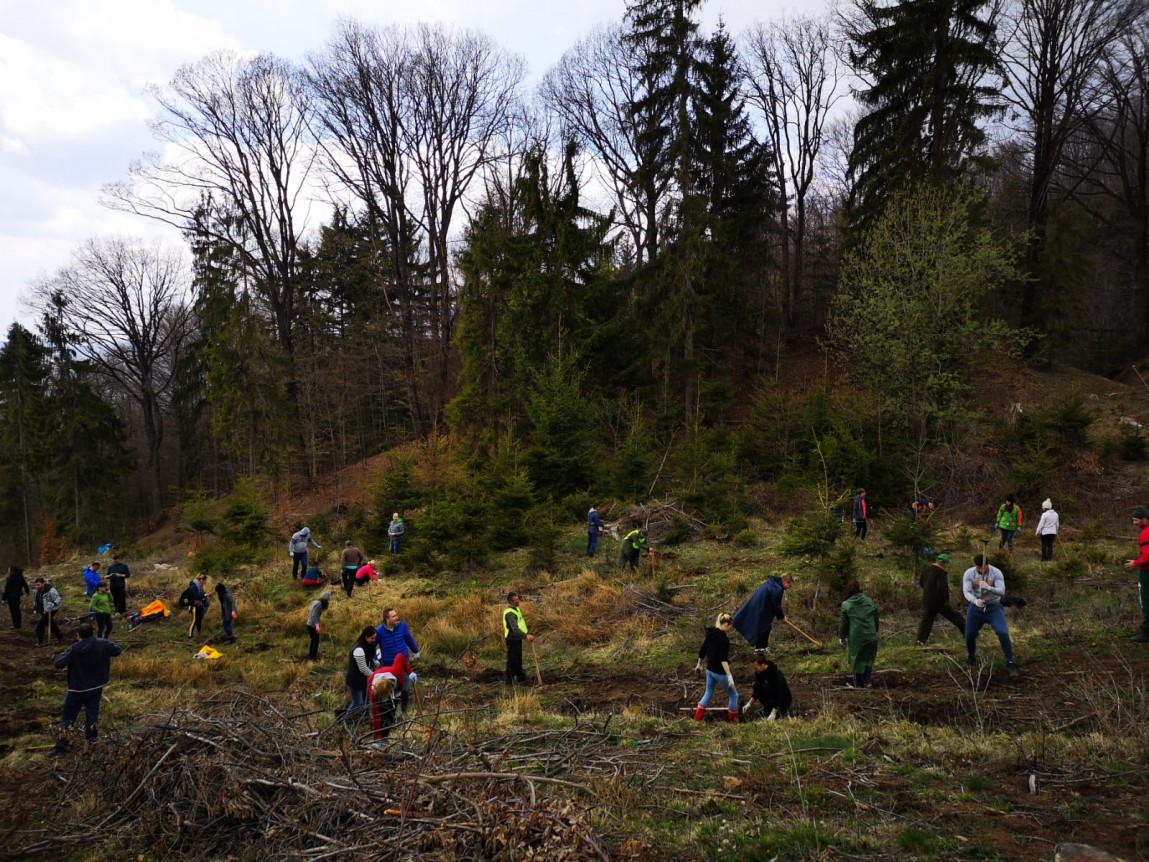 Actiuni de voluntariat Provident Financial Romania