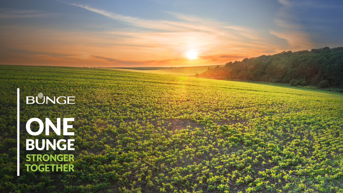  Bunge Romania