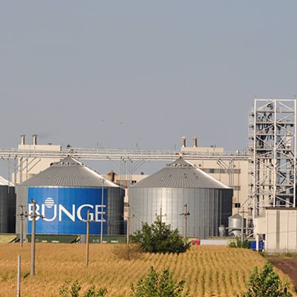  Bunge Romania