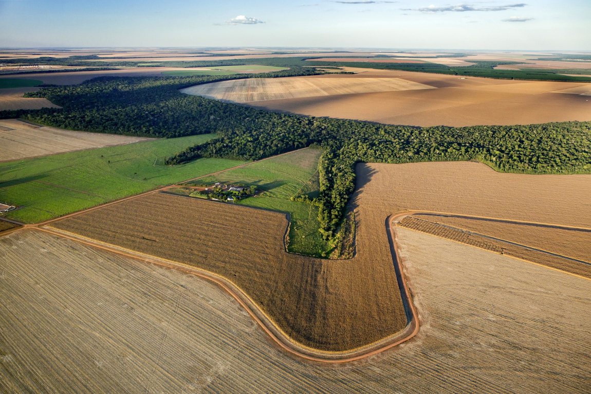  Bunge Romania