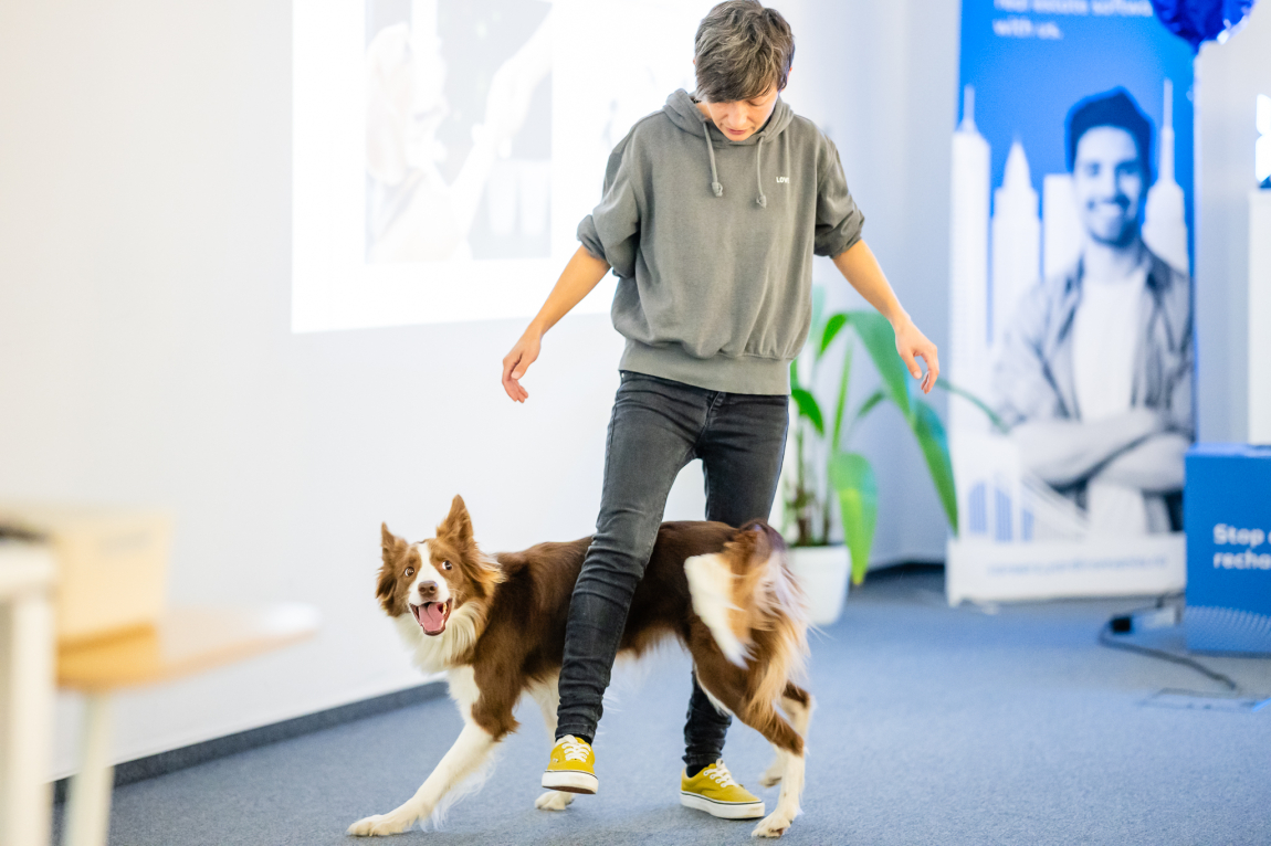 𝗢𝗥𝗔𝗖𝗢𝗟™ - Learning about Positive Dog Training Yardi Romania