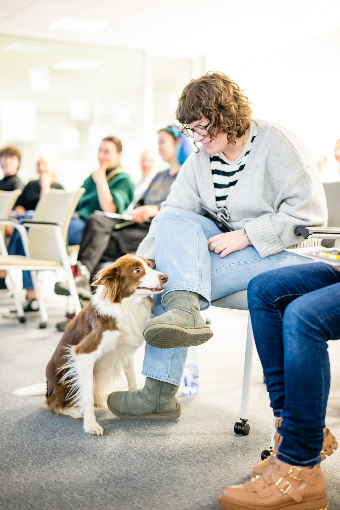 𝗢𝗥𝗔𝗖𝗢𝗟™ - Learning about Positive Dog Training Yardi Romania