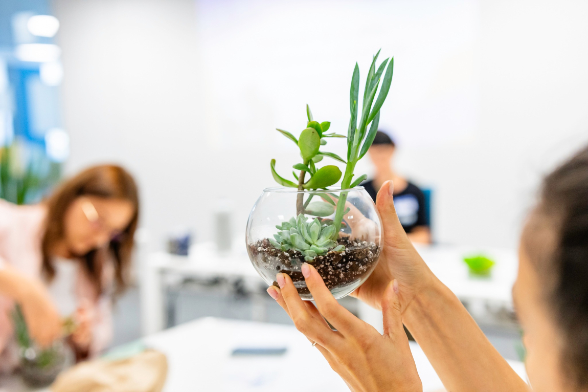 𝗢𝗥𝗔𝗖𝗢𝗟™ - Nature in a Jar: Terrarium Crafting Yardi Romania