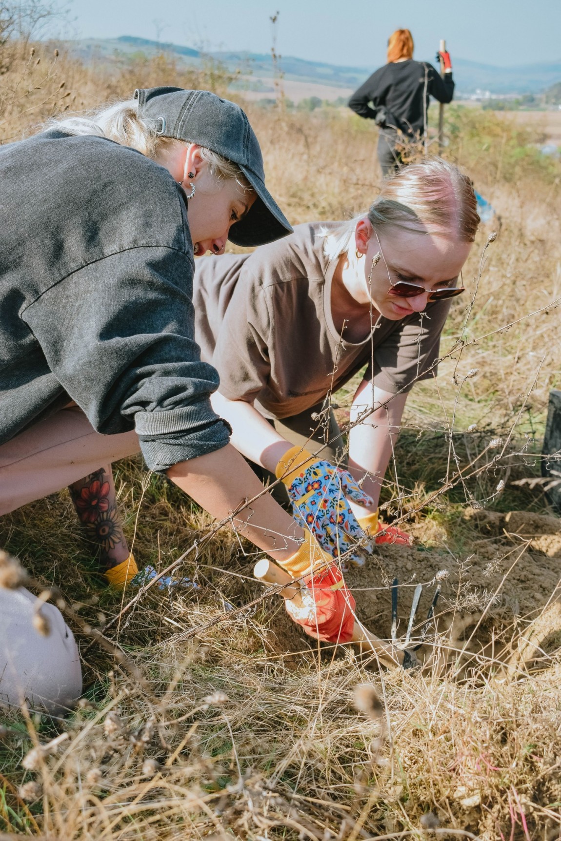 Yardi x Beard Brothers Reforestation Event 2023 Yardi Romania