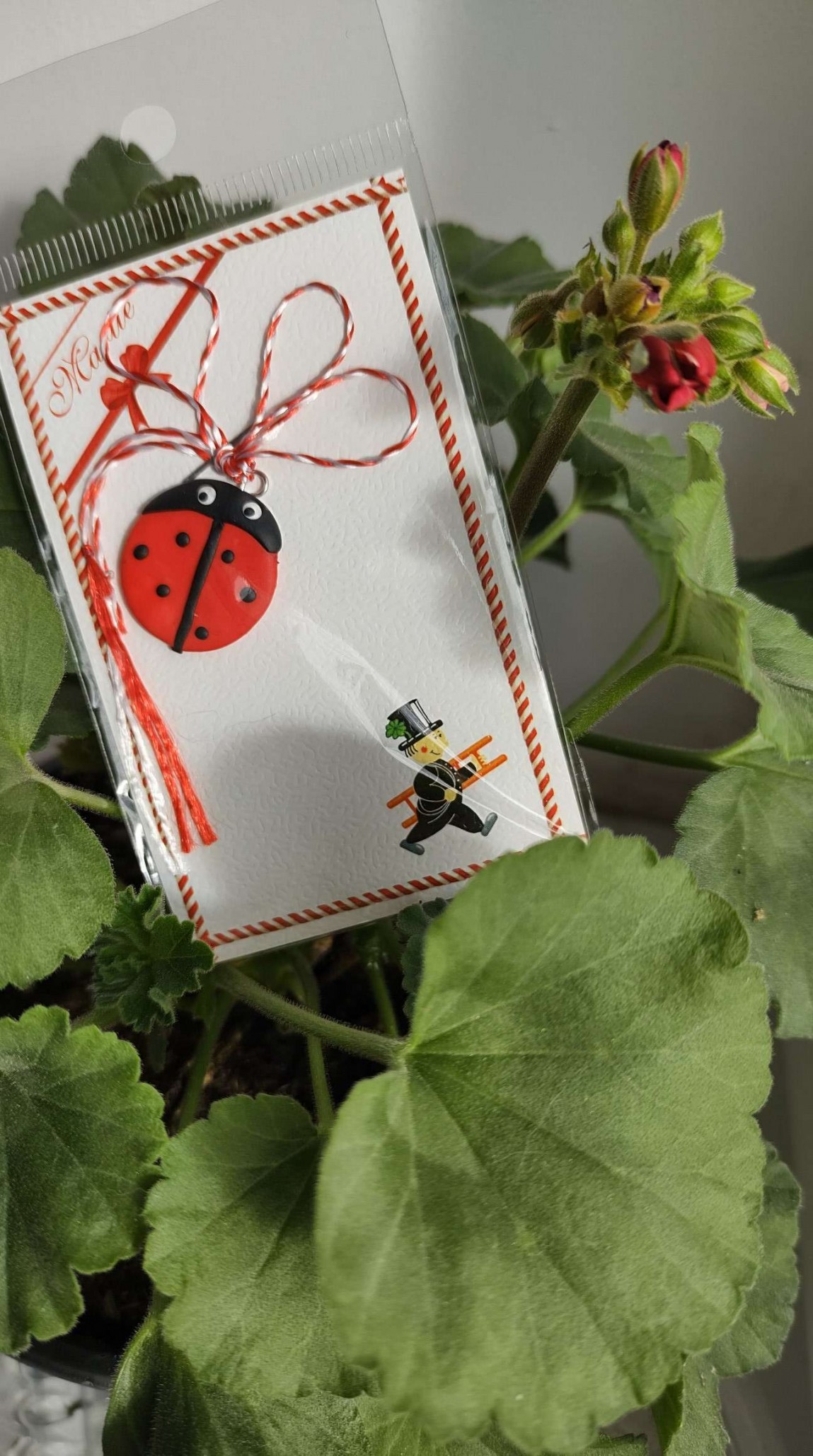 Firul alb e sănătate iar cel roşu, prosperitate. Amândouă, împreună, formează o cunună de succes şi voie bună. O primăvară frumoasă! #primavara #martie  #1martie #netexromania Netex Romania