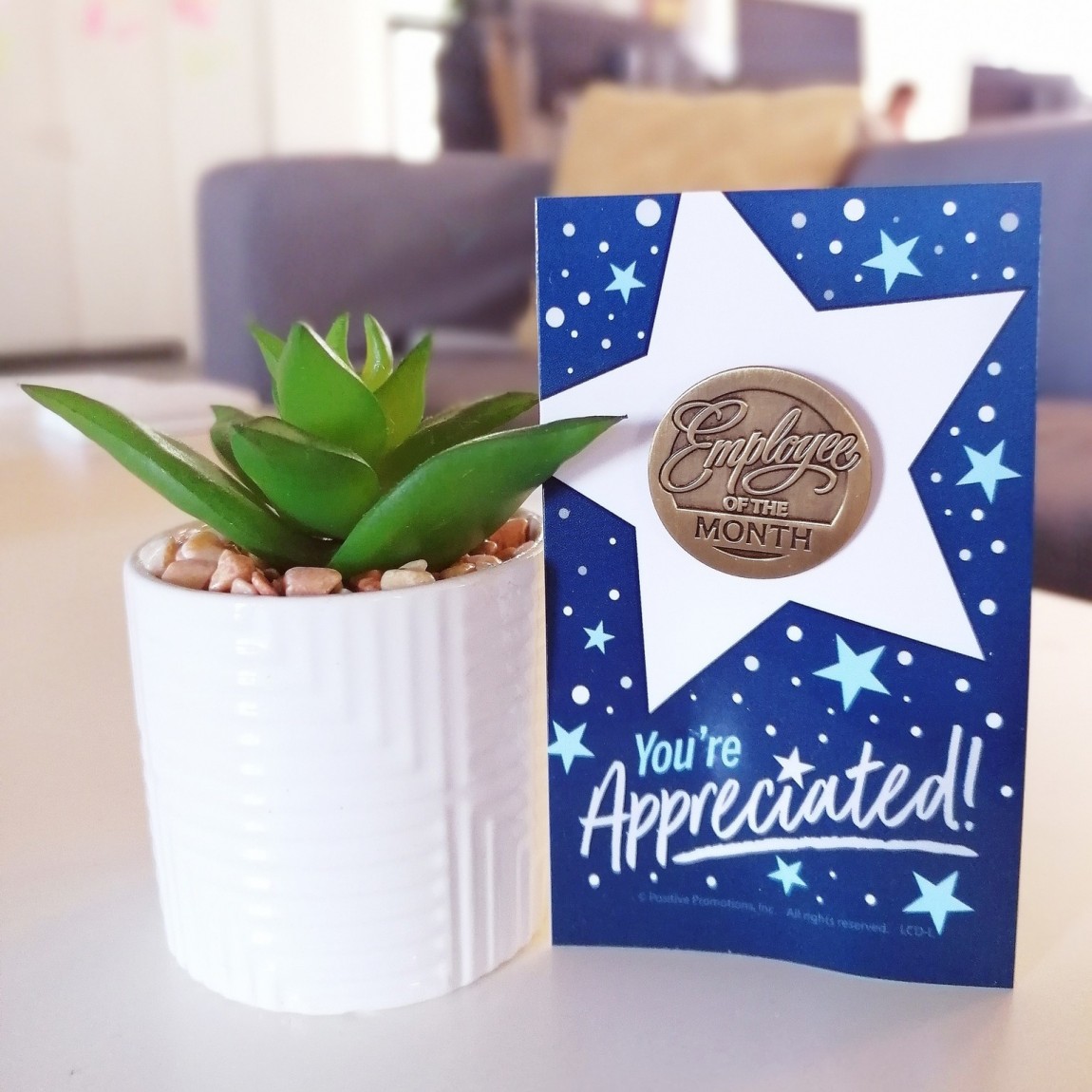 În fiecare lună cei mai activi colegi primesc bonusuri de performanță  Netex Romania