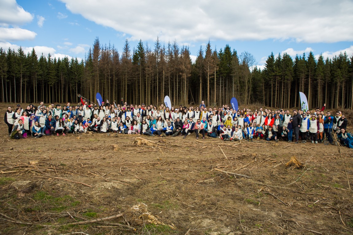 planting day Allianz Services