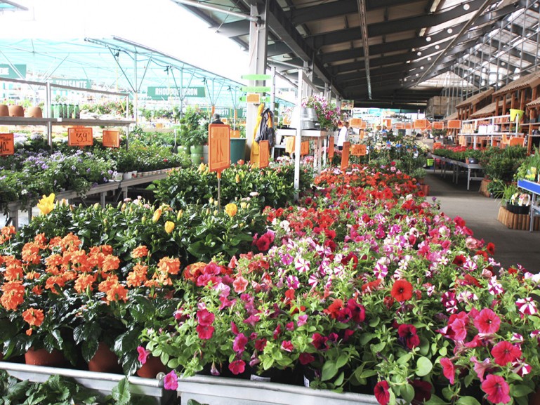 Hornbach Romania Hornbach Romania